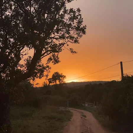 Roulotte Individuelle Dans Le Maquis Corse * بيانوتولي-كالداريلو