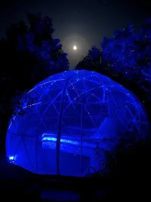 Roulotte Individuelle Dans Le Maquis Corse