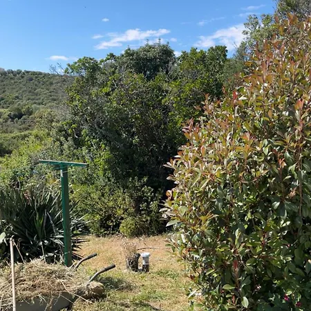 Caravane Individuelle Dans Le Maquis Corse