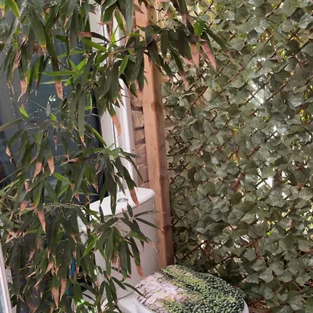 Kır Evi Caravane Individuelle Dans Le Maquis Corse *