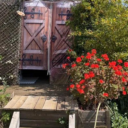 Roulotte Individuelle Dans Le Maquis Corse