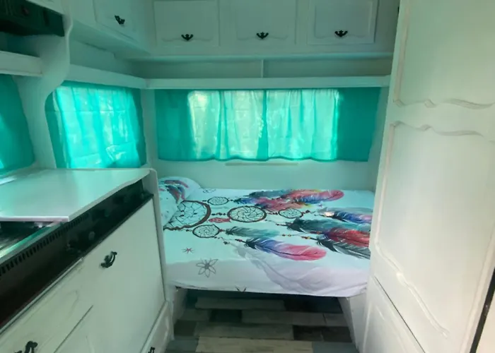 Roulotte Individuelle Dans Le Maquis Corse