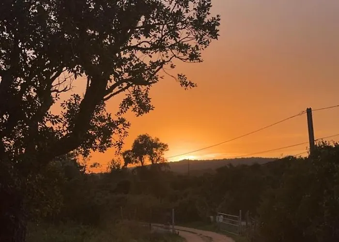 Roulotte Individuelle Dans Le Maquis Corse * Pianottoli-Caldarello (Corsica)
