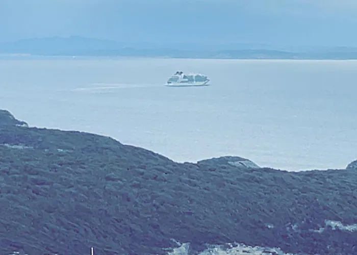 Roulotte Individuelle Dans Le Maquis Corse