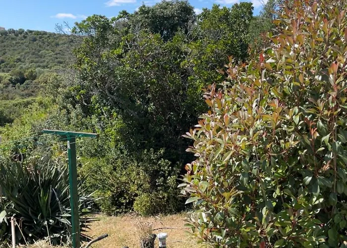 Roulotte Individuelle Dans Le Maquis Corse
