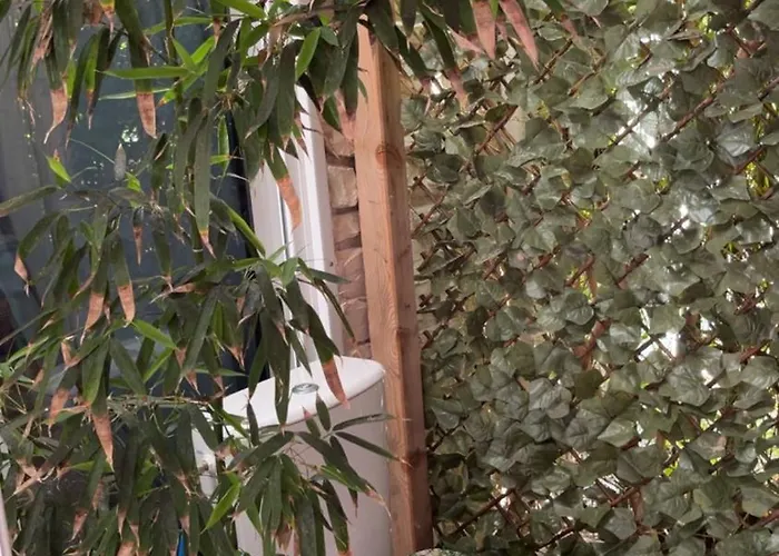 Kır Evi Roulotte Individuelle Dans Le Maquis Corse *