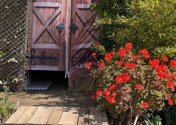 Roulotte Individuelle Dans Le Maquis Corse