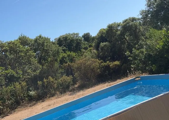 Kır Evi Roulotte Individuelle Dans Le Maquis Corse