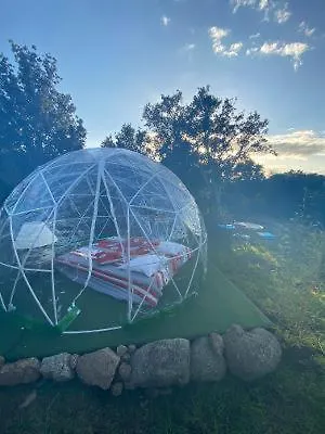 Kır Evi Roulotte Individuelle Dans Le Maquis Corse