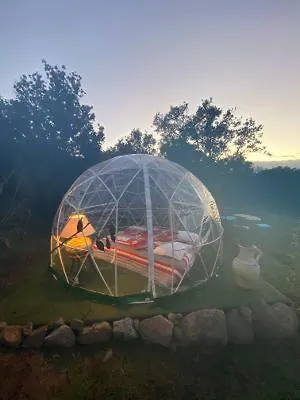Kır Evi Roulotte Individuelle Dans Le Maquis Corse Pianottoli-Caldarello (Corsica)